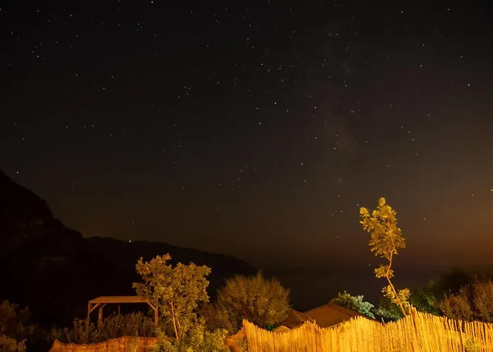 Goat Bungalow And Camping