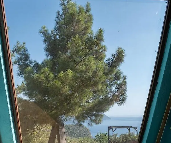 Goat Bungalow And Camping Hotel