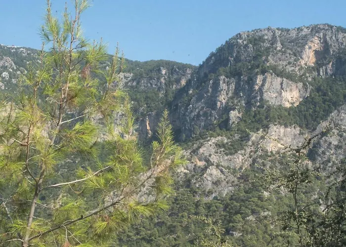 Goat Bungalow And Camping Faralya